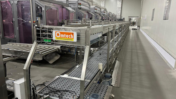 Inclined conveyor system